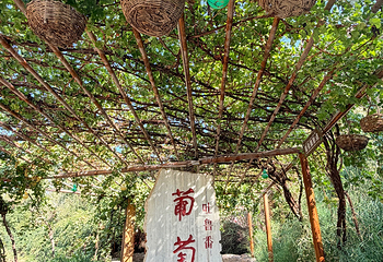 葡萄沟第 46 张图片