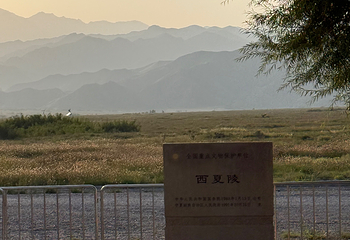 西夏陵第 424 张图片