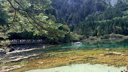 九寨沟风景区第 539 张图片