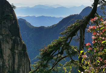 黄山风景区第 365 张图片