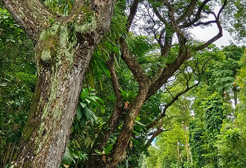 花柏山公园第 134 张图片