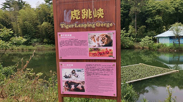 虎跳峡