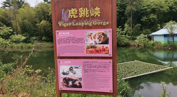 虎跳峡