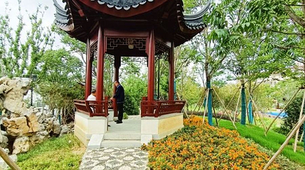 东汇公园第 1 张图片