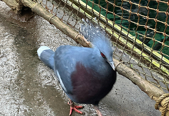 丹麦国立水族馆第 53 张图片