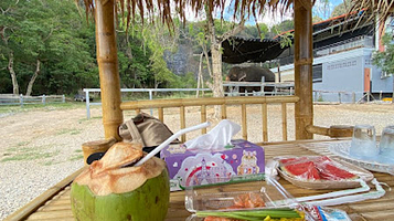 Krabi Elephant Green Sanctuary