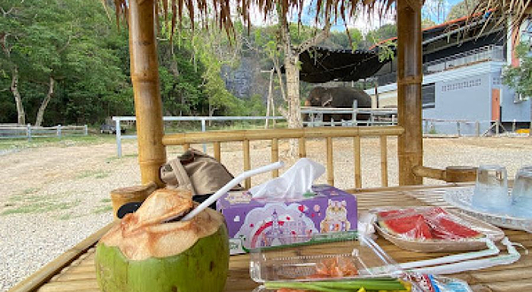 Krabi Elephant Green Sanctuary