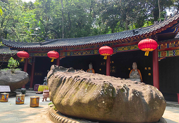 海南百花岭热带雨林文化旅游区第 50 张图片