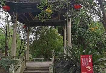 西溪国家湿地公园第 204 张图片