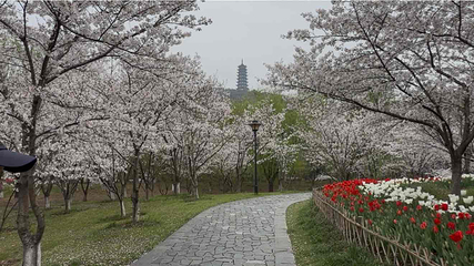 香山景区第 44 张图片