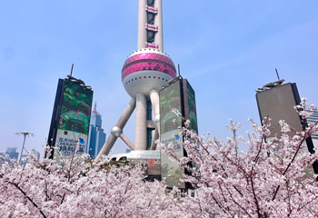 东方明珠第 131 张图片