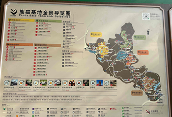 成都大熊猫繁育研究基地第 576 张图片