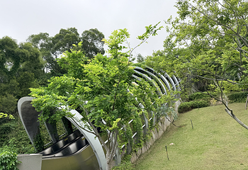 厦门园林植物园第 93 张图片