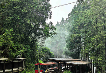 阿里山国家风景区第 40 张图片
