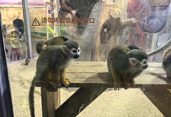 哈尔滨极地公园第 95 张图片