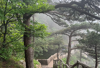 黄山风景区第 303 张图片
