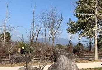火山地热国家地质公园第 96 张图片