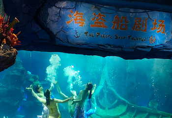 武汉东湖海洋世界第 22 张图片