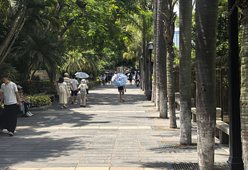 皓月园第 29 张图片