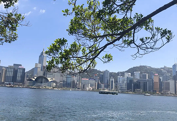 维多利亚港第 153 张图片