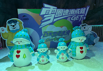 阿尔卑斯雪世界第 160 张图片