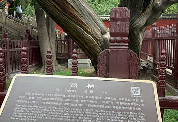 晋祠天龙山景区第 9 张图片