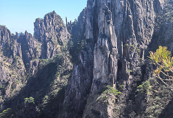 黄山风景区第 318 张图片