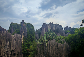 石林风景区第 159 张图片
