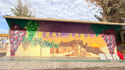 葡萄沟第 50 张图片