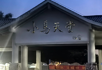 小鸟天堂第 37 张图片
