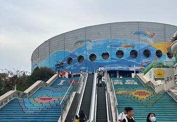 海合安青岛极地海洋公园第 134 张图片