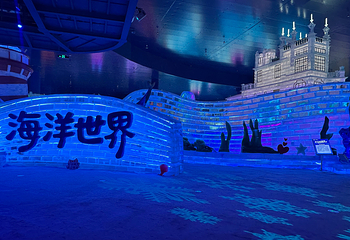 哈尔滨冰雪大世界第 385 张图片
