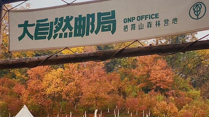 大自然邮局栖霞山森林营地第 1 张图片