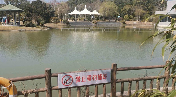 滨海公园-人工湖