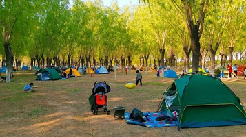 大运河森林公园-帐篷区