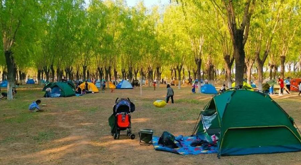 大运河森林公园-帐篷区