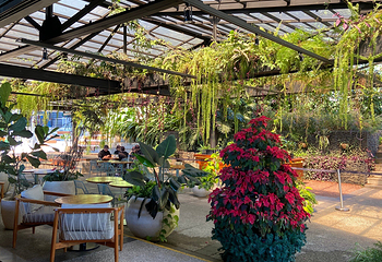 Hacienda Alsacia Starbucks Coffee Farm第 3 张图片