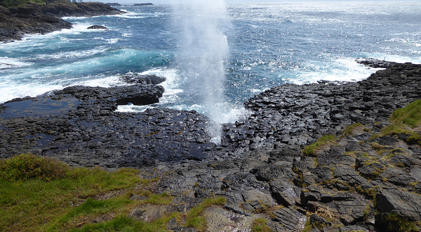 Little Blowhole