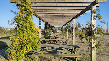 Municipal Center of Environmental Interpretation