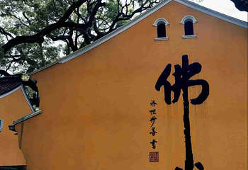 普陀山风景区第 221 张图片