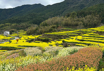 江岭景区第 88 张图片