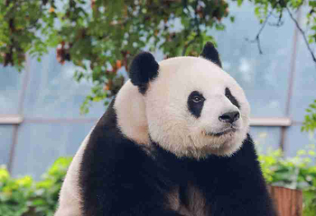北京动物园第 76 张图片