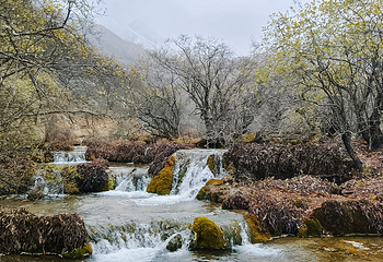 黄龙风景名胜区第 147 张图片