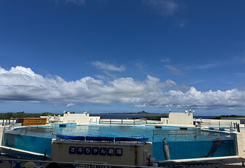 冲绳美丽海水族馆第 32 张图片