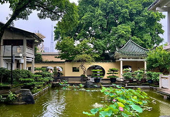 鹅岭公园第 46 张图片