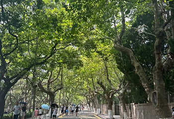 八大关第 96 张图片