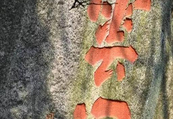 云洞岩风景名胜区第 115 张图片