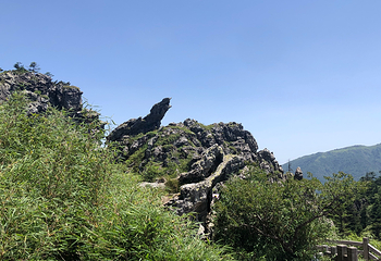 神农架风景区第 139 张图片