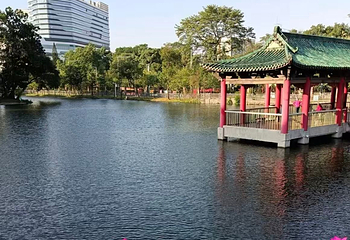 越秀公园第 160 张图片
