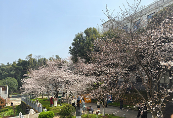 武汉大学第 58 张图片